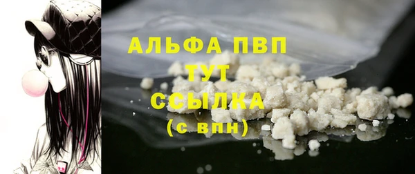 гашик Абаза