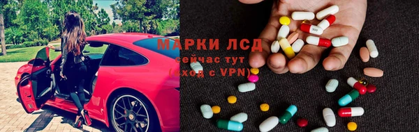 ECSTASY Алзамай