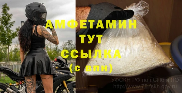 гашик Абаза